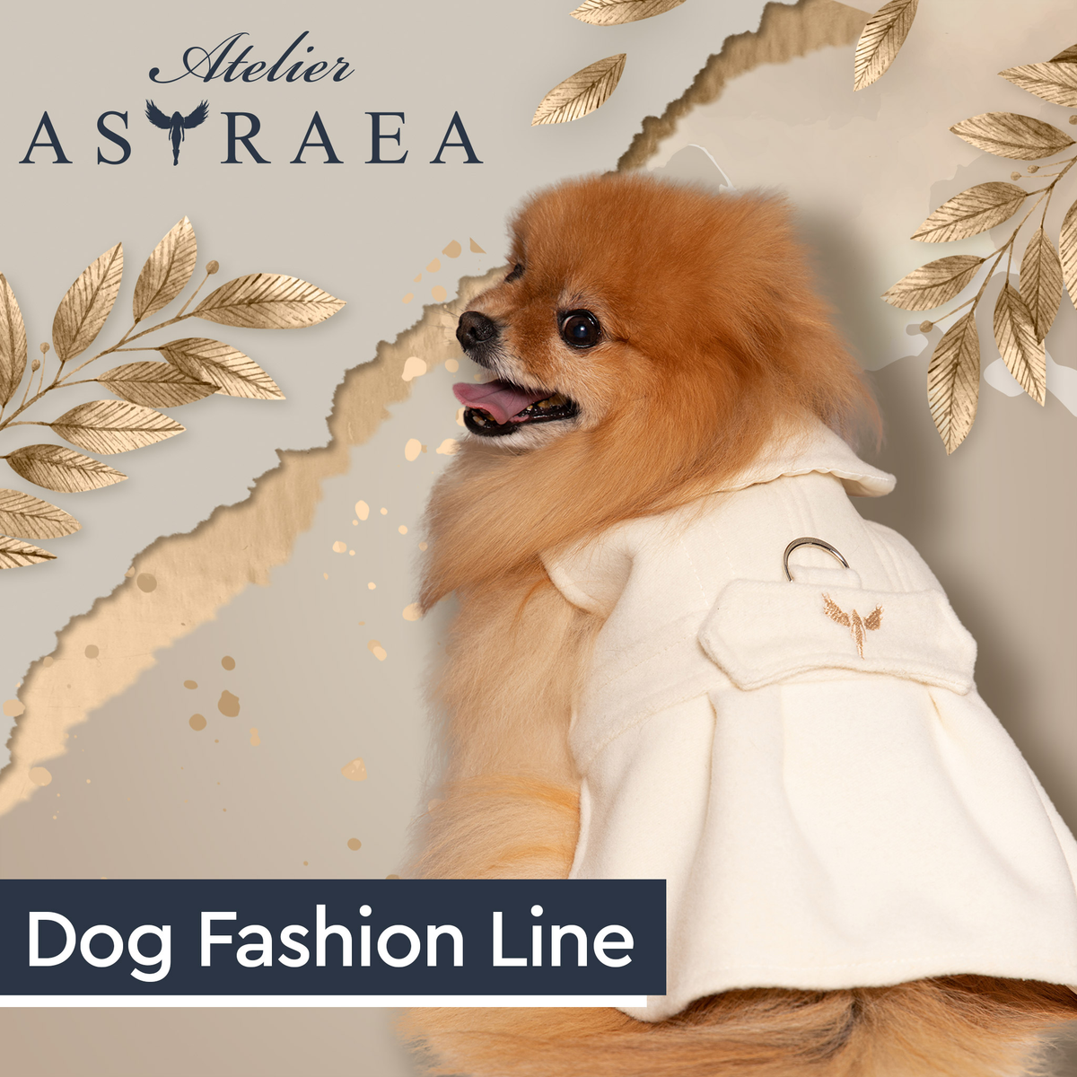 Dog clothing outlet line