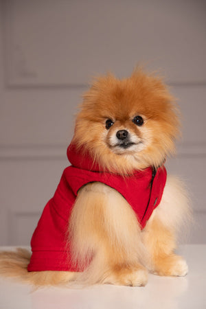 DOG COAT WITH HOOD - Astraea