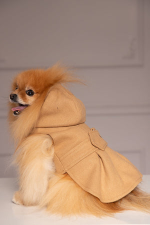 DOG COAT WITH HOOD - Astraea