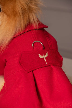 ELEGANT DOG JACKET - Astraea