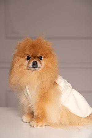 ELEGANT DOG JACKET - Astraea