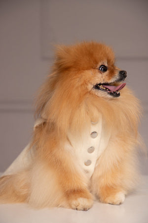 ELEGANT DOG JACKET - Astraea