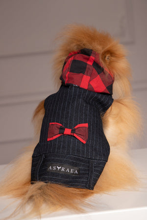 HOODED DOG JACKET - Astraea