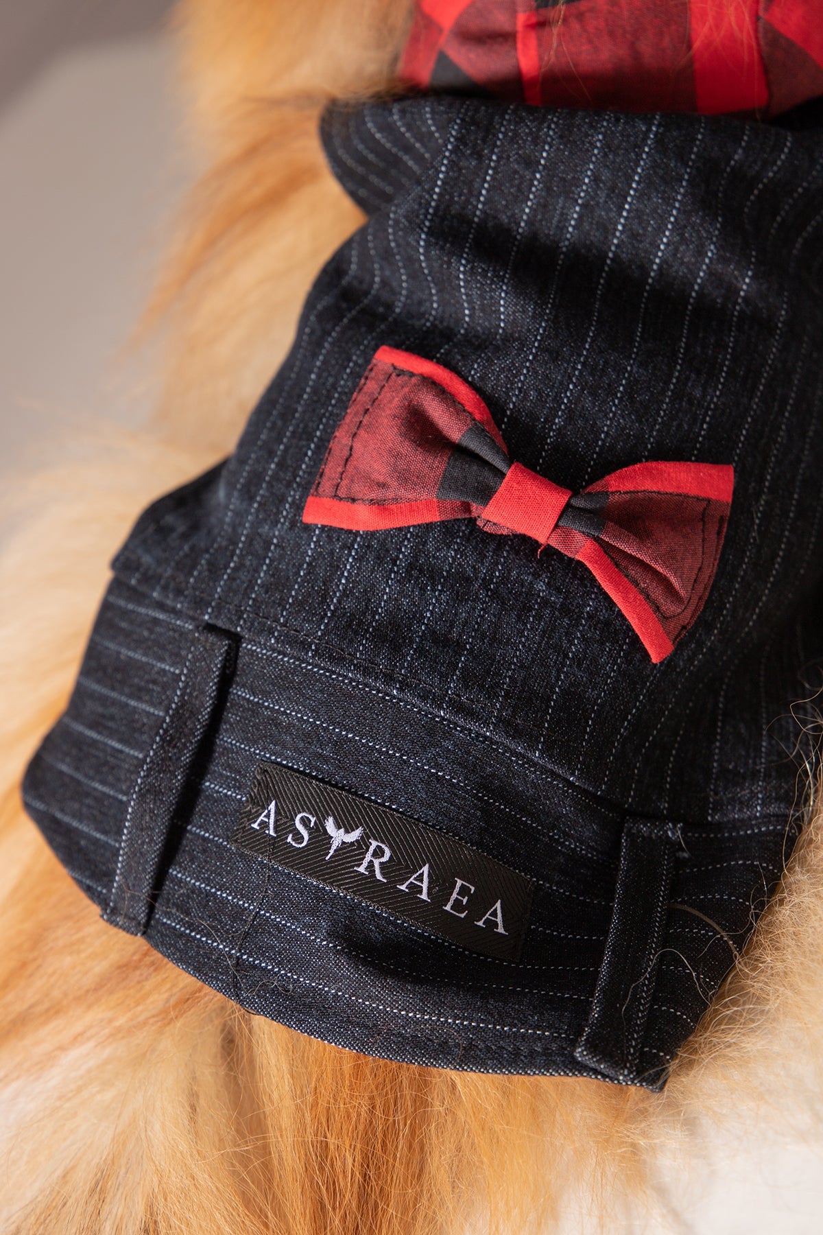 HOODED DOG JACKET - Astraea