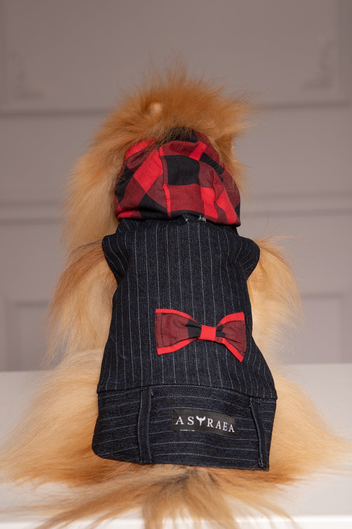 HOODED DOG JACKET - Astraea