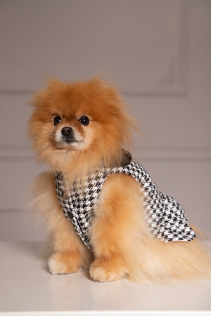 HOUNDSTOOTH DOG DRESS - Astraea