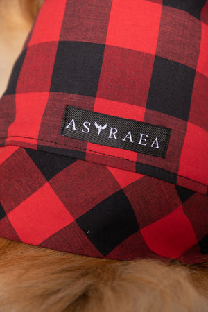 PLAID DOG SHIRT - Astraea