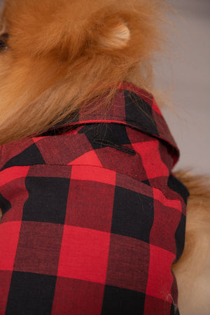 PLAID DOG SHIRT - Astraea